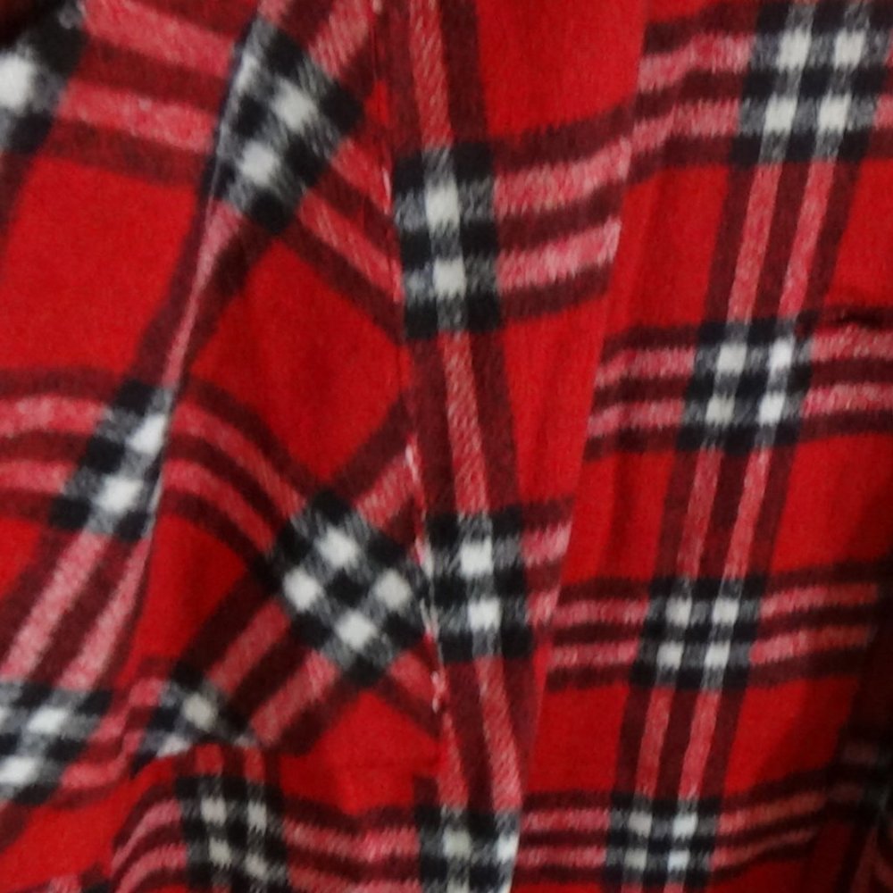 Red Jacket - Picture 5 of 6